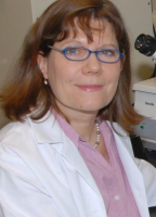 Heidi Stuhlmann, Ph.D.